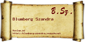 Blumberg Szandra névjegykártya